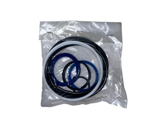 (30002-999) CYLINDER SEAL KIT