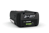 Stihl | AP 300.0 P | ALLPRO Performance Battery | Lithium-Ion Battery (EA13 400 6522)
