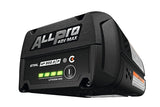 Stihl | AP 300.0 P C | ALLPRO Performance Battery | Lithium-Ion Battery (EA13 400 6521)