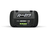Stihl | AP 300.0 P C | ALLPRO Performance Battery | Lithium-Ion Battery (EA13 400 6521)