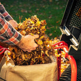DR Power | Leaf and Lawn Vacuum | PILOT XTSP (Direct Bagging) | Electric Start (WL31004DEN)