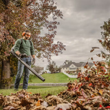 Stihl | BR 350 Gas Backpack Blower (4244 011 1608 US)