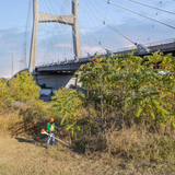 Stihl | FS 561 C-EM Gas Brushcutter | Bike Handle | Easy Start (4148 200 0225 US)