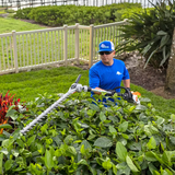 Stihl | HLA 135 (145º) Battery Pole Hedge Trimmer 24" | w/ AP 200 battery & AL 301 charger (HLA135-AP200-AL301-COMBO)