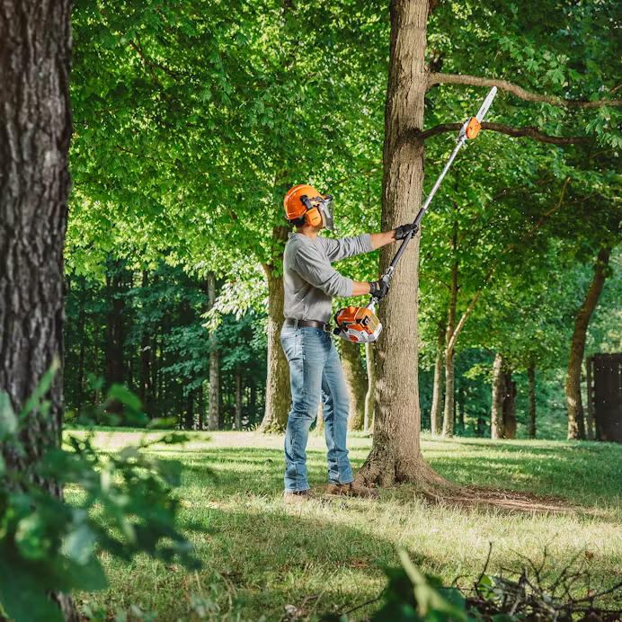 STIHL HT 250 Gas Pole Chainsaw - 7' Fixed-Length Pruner – Foards