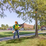 Stihl | HTA 135 Battery Pole Pruner | w/o Battery & Charger (LA01 200 0001 US)