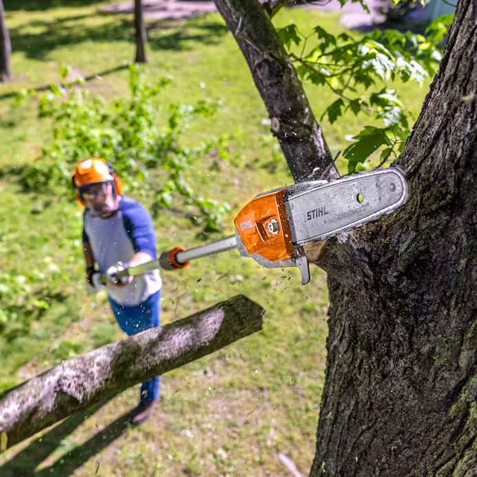 Stihl | HTA 86 Battery Pole Pruner | w/ AP 300 S battery & AL 301