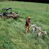 Stihl | MS 151 C-E Lightweight Gas Chainsaw | 12 in. Bar with STIHL PICCO™ Micro™ 1/4" PICCO™ pitch 0.043" gauge 64 drive links (71 PM3 64) (1146 200 0063)