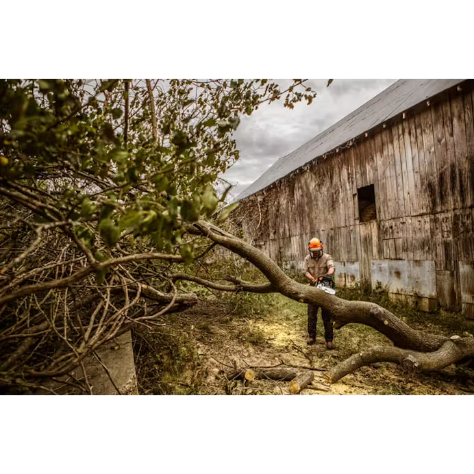 Stihl | MS 362 Gas Chainsaw | 25 in. Bar with STIHL RAPID™ Super 3