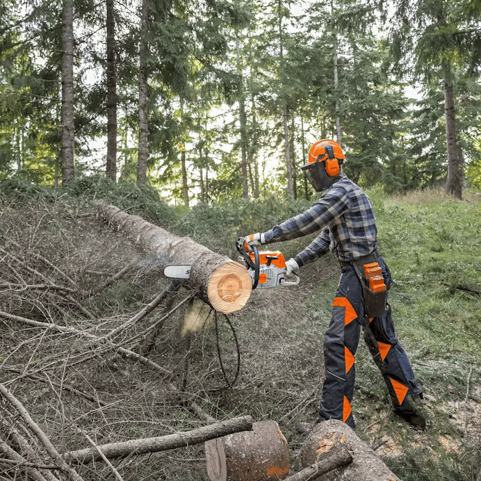 Stihl | MS 462 C-M Gas Chainsaw | 18 in. Bar with STIHL RAPID