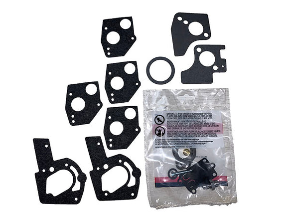 (495606) Briggs KIT-CARB OVERHAUL