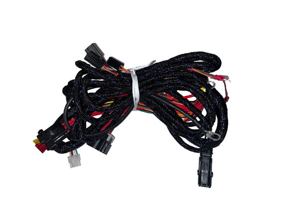 (604241) WIRE HARNESS